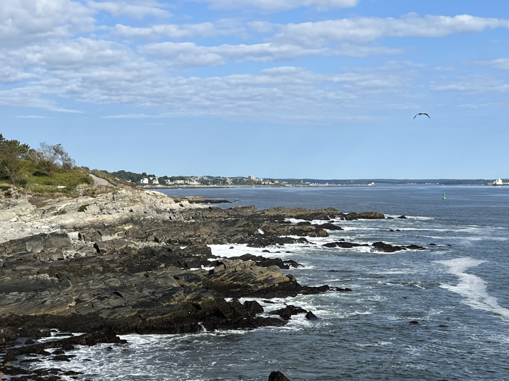 Logo for Shore Thing