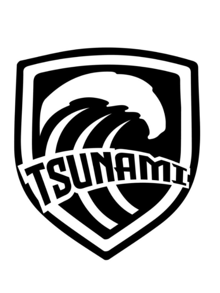 Logo for FC Tsunami